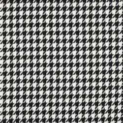 Pepita tern, Sort/hvid