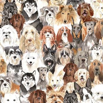 Canvas digital Dogs, white
