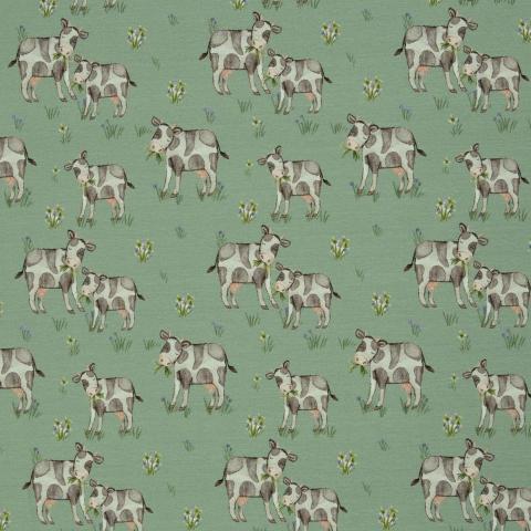 Økotex bomulds jersey, Køer