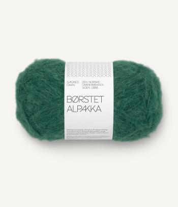 Børstet Alpakka, Rain forest