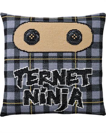 Ternet Ninja, pude