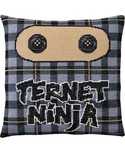 Ternet Ninja, pude