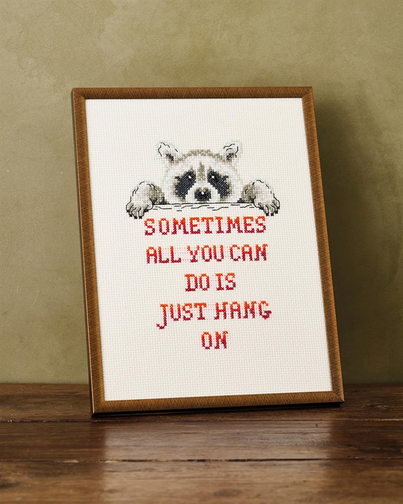 Vaskebjørn, billede