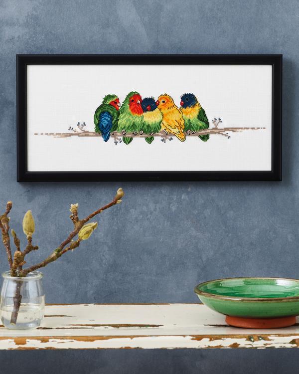 Dværgpapegøjer, billede