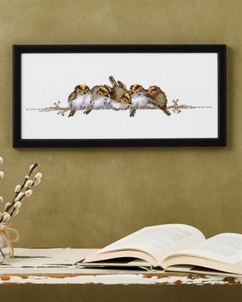 Fuglekonger, billede