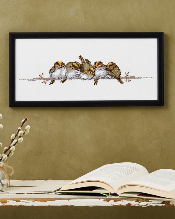 Fuglekonger, billede