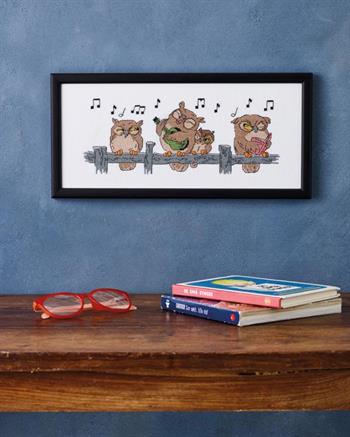 Ugle serenade, Billede