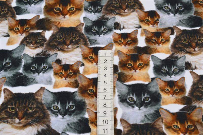 Økotex bomulds jersey m/katte