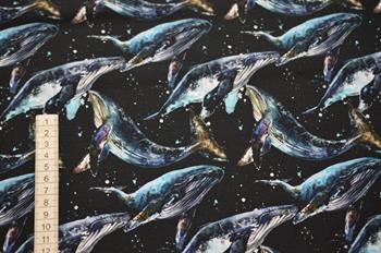 Økotex Bomulds Jersey Delfiner                                                                                       