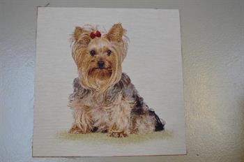 Gobelin stykke, Yorkshire terrier