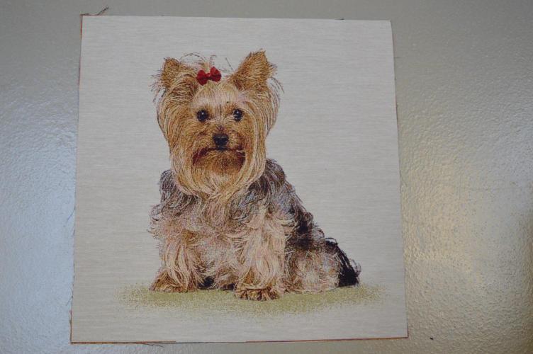 Gobelin stykke, Yorkshire terrier