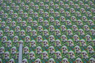 Poplin digital, Små lam