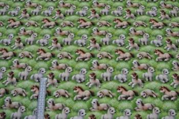 Poplin digital, Små føl