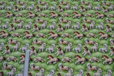 Poplin digital, Små føl