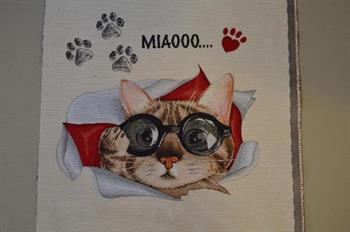 Pude/taske stykke, Kat