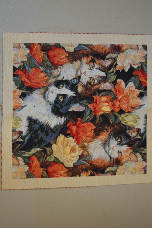 Pude/taske stykke, Katte