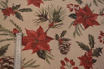 Hørlook, Julestjerne