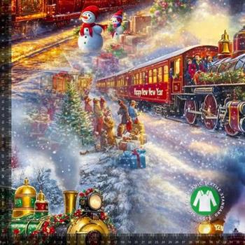 Økotex bomulds jersey, Polarekspressen