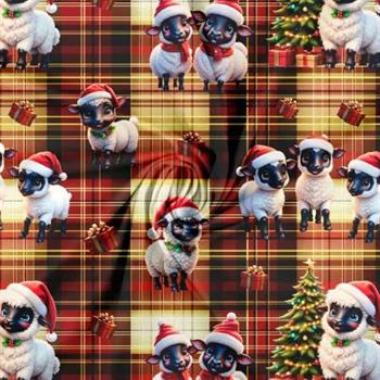 Økotex bomulds jersey, Julefår