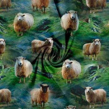 Økotex bomulds jersey, Får