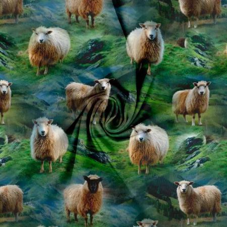 Økotex bomulds jersey, Får