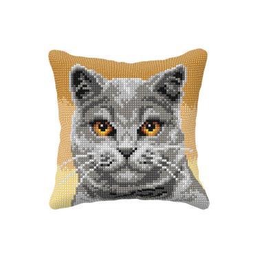 Stramaj pude, British Shorthair